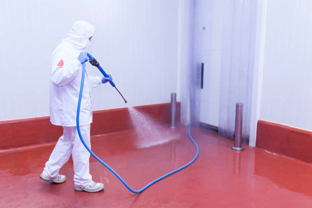 Best Spring Cleaning  in Mount Vernon, GA