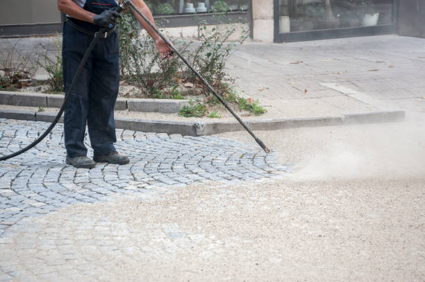 Best Driveway Pressure Washing  in Mount Vernon, GA